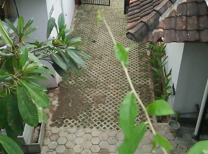 Made House And *